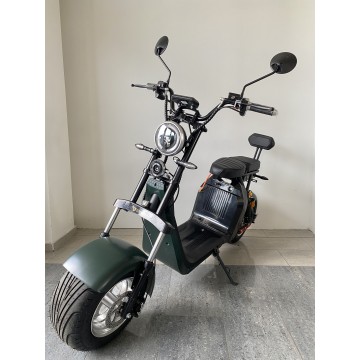 Elektrokoloběžka Lera Scooters C2 2000W Zelená