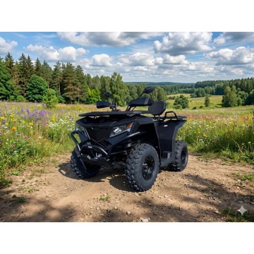 Čtyřkolka Leramotors By APOLLO Cyber Roamer 270 T3b