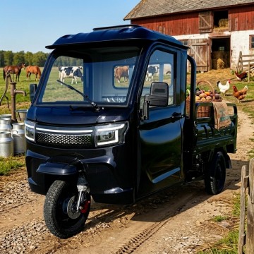 Elektrická nákladní tříkolka Leramotors Cargo G4 3000W