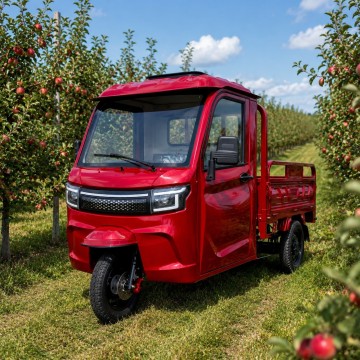 Elektrická nákladní tříkolka Leramotors Cargo G4 3000W