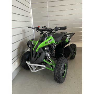 Kinderquad 49 ccm Renegade