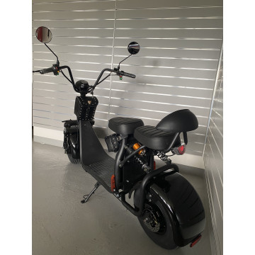 Elektrokoloběžka Lera Scooters C1 1000W Černá