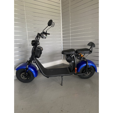 Elektrokoloběžka Lera Scooters C1 1000W Modrá