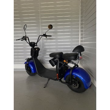 Elektrokoloběžka Lera Scooters C1 1000W Modrá