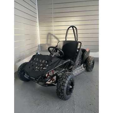 Dětská elektrická buggy Sunway GO-KART NITRO 1000W