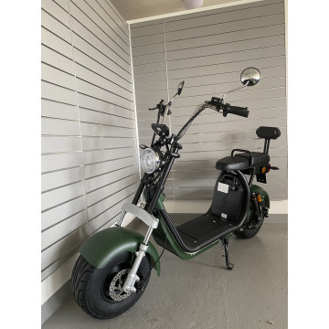 Elektrokoloběžka Lera Scooters 1200W zelená