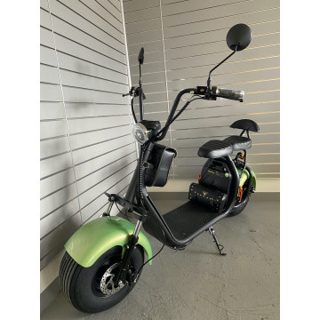Elektrokoloběžka Lera Scooters C1 1000W Zelená