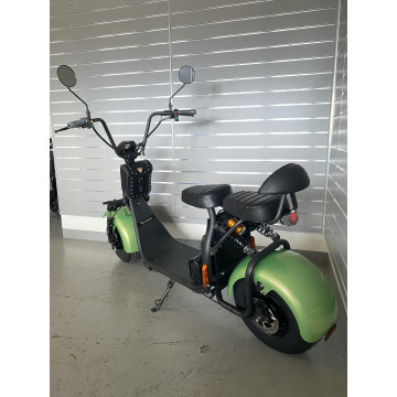 Elektrokoloběžka Lera Scooters C1 1000W Zelená