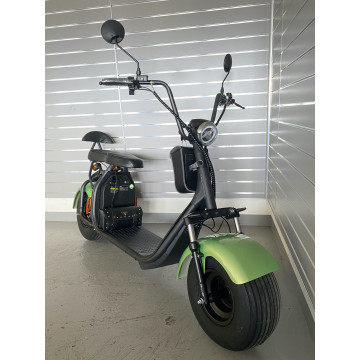 Elektrokoloběžka Lera Scooters C1 1000W Zelená