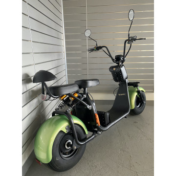 Elektrokoloběžka Lera Scooters C1 1000W Zelená
