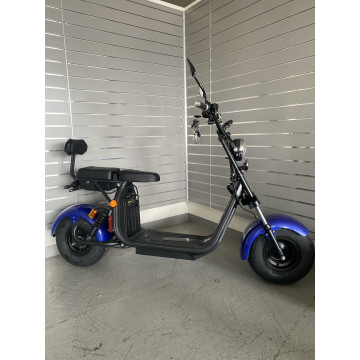 Elektrokoloběžka Lera Scooters C2 1500W Modrá