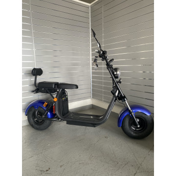 Elektrokoloběžka Lera Scooters C2 1500W Modrá