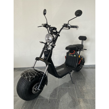 Elektrokoloběžka Lera Scooters C2 1500W Black Cobweb