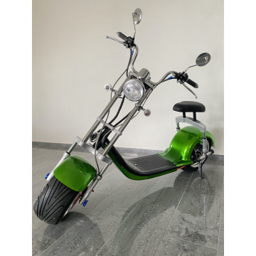 Elektrokoloběžka Lera Scooters C3 1000W Zelená