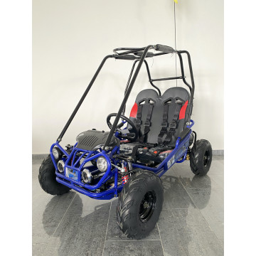 Dětská buggy Leramotors Predator 170ccm Automat