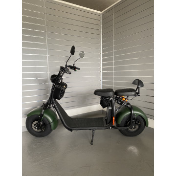 Elektrokoloběžka Lera Scooters C1 1000W