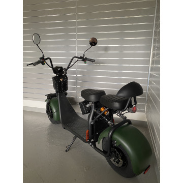 Elektrokoloběžka Lera Scooters C1 1000W