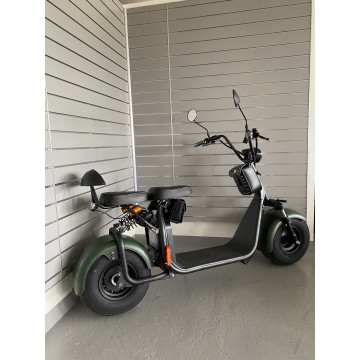 Elektrokoloběžka Lera Scooters C1 1000W