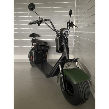 Elektrokoloběžka Lera Scooters C1 1000W